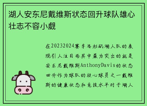 湖人安东尼戴维斯状态回升球队雄心壮志不容小觑