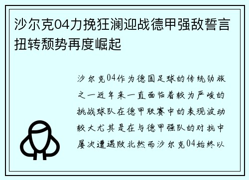 沙尔克04力挽狂澜迎战德甲强敌誓言扭转颓势再度崛起