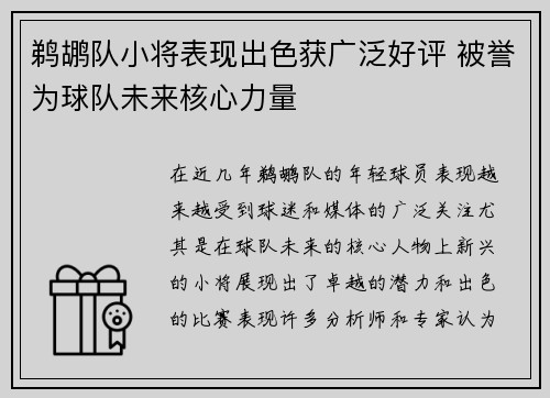 鹈鹕队小将表现出色获广泛好评 被誉为球队未来核心力量